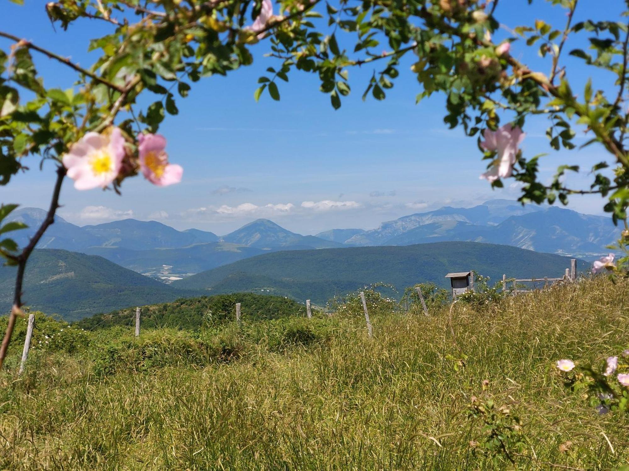 B&B Fonte Fresca 파브리아노 외부 사진
